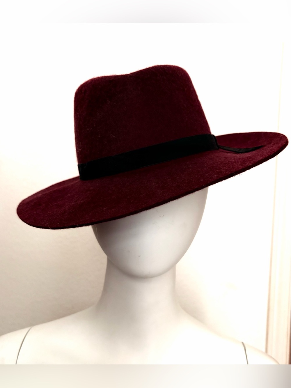 GAP Wine Wide-Brim Fedora with Black Band
